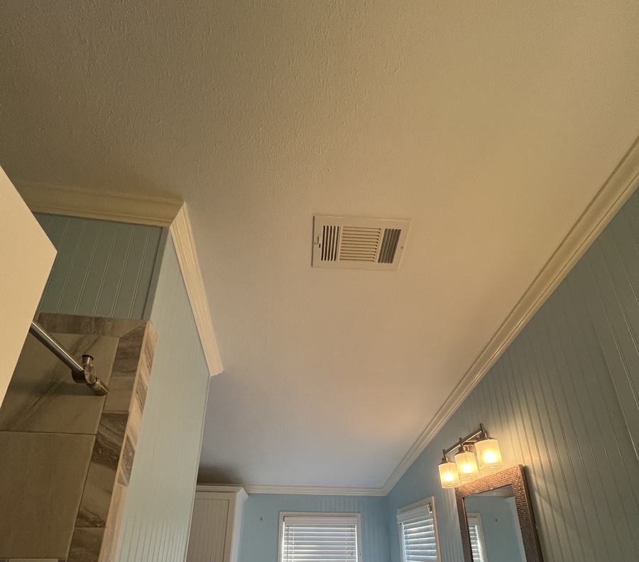 Rebuilt and repainted bathroom ceiling